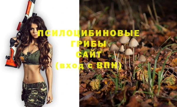 стаф Нефтегорск
