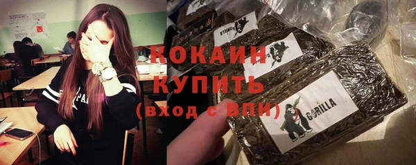стаф Нефтегорск